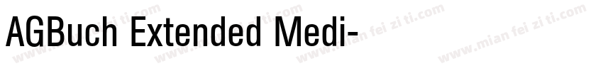 AGBuch Extended Medi字体转换